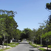 chaveiro curitiba jardim social